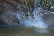 PC_2022_VE_0981