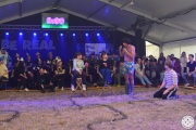 PC_2023_SE_2010