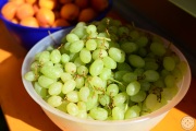 PC_2025_SE_2356
