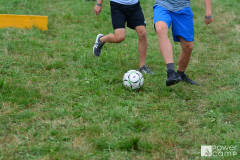 PC_2019_SE_0240