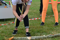 PC_2019_SE_2154