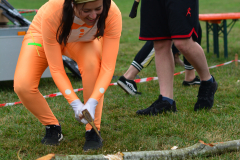 PC_2019_SE_2156